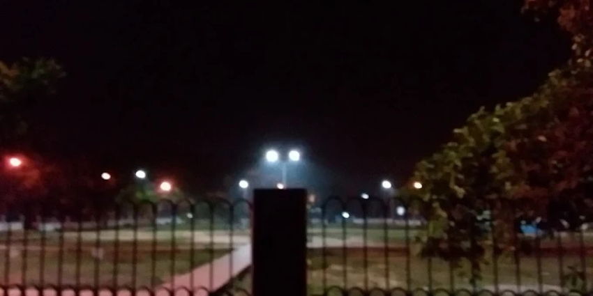 Tarasankar Bandyopadhyay Udyan